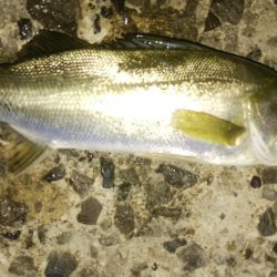 流れの中の変化